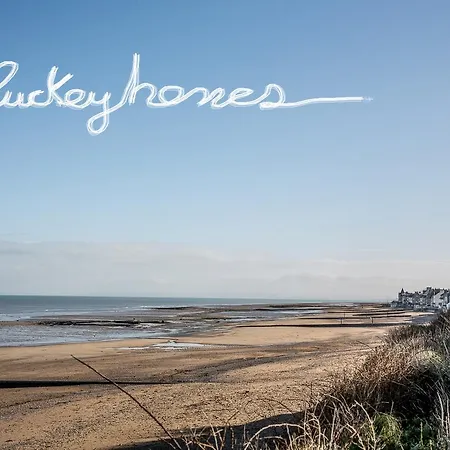Appartement Luckey Homes - Rue Damozanne *